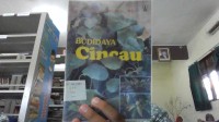 Budidaya Cincau