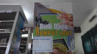Budi Daya Rumput Laut