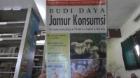Budidaya Jamur Konsumsi