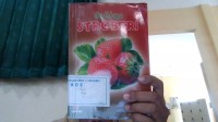 Budidaya Stroberi