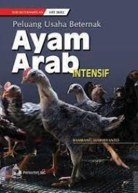 Peluang Usaha Beternak Ayam Arab Intensif