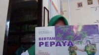 Bertanam Pepaya