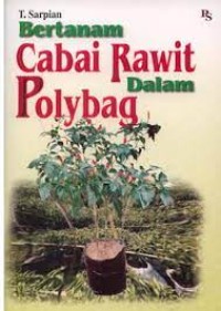 Bertanam Cabai Rawit Dalam Polybag