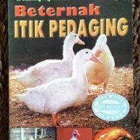 Beternak Itik Pedaging