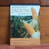 Budidaya Jagung Hibrida