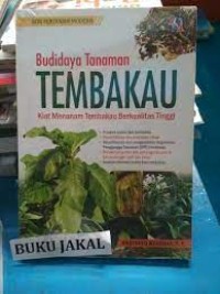 Budidaya Lele Sangkuriang