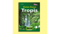 Hutan Hujan Tropis