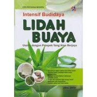 Intensif Budidaya Lidah Buaya