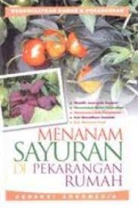 Menanam Sayuran di Pekarangan Rumah