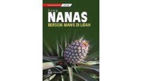 Nanas Bersisik Manis Di Lidah