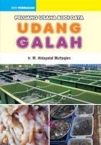 Peluang Usaha Budidaya Udang Galah