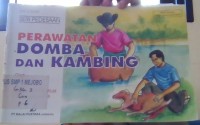 Perawatan Domba dan Kambing