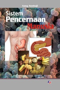 Sistem Pencernaan manusia