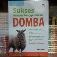 Sukses Dengan Penggemukan Domba