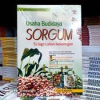 Usaha Budidaya Sorgum