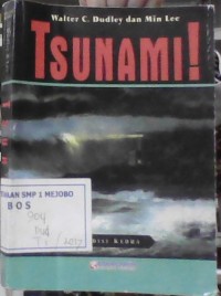 Image of Tsunami