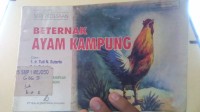 Image of Beternak Ayam Kampung