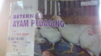 Image of Beternak Ayam Pedaging